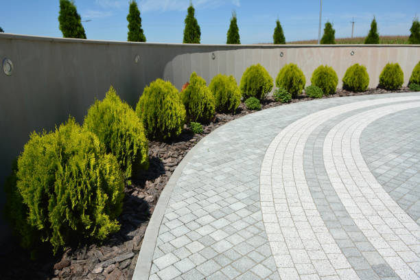 Best Driveway Paver Repairs and Restoration in Brookville, NY